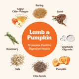 Northern Pet Softies Lamb & Pumpkin Dog Treats 170g