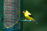 Squirrel Buster Finch Feeder