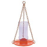 Oriole Jelly Feeder
