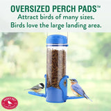 Dried Mealworm Bird Feeder