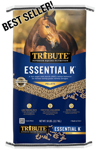Tribute Essential K