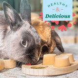 Freeze Dried Straberry Small Animal Treats