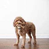 Benebone Wishbone Bacon Flavor (Small)