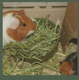 Ontario Grown Timothy Hay Mini Bales