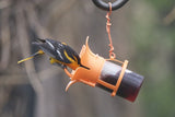 Jelly/Jam Jar Feeder