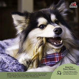 Bully Stick Braid - 7"