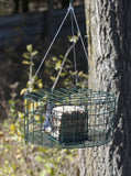Squirrel Resistant Double Suet Cage