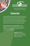 Concerto