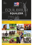 Equilibrium Equilizer
