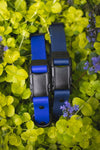 Biothane Vegan Leather Dog Collar with Quick Release Buckle L/XL