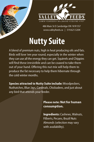 Nutty Suite