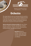 Orchestra