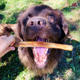 Collagen Stick Treat