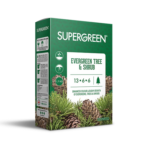SuperGreen Evergreen Tree & Shrub