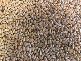 Safflower