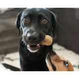 Chewables Brush Natural Dental Chew - Medium