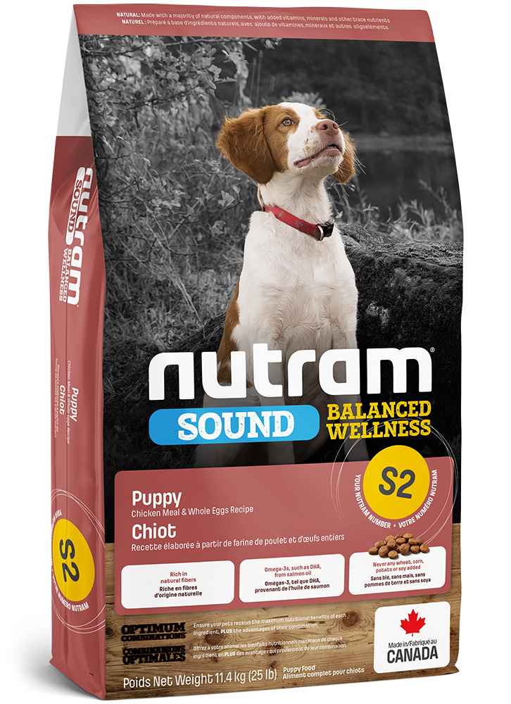 Dog food without added vitamins hot sale