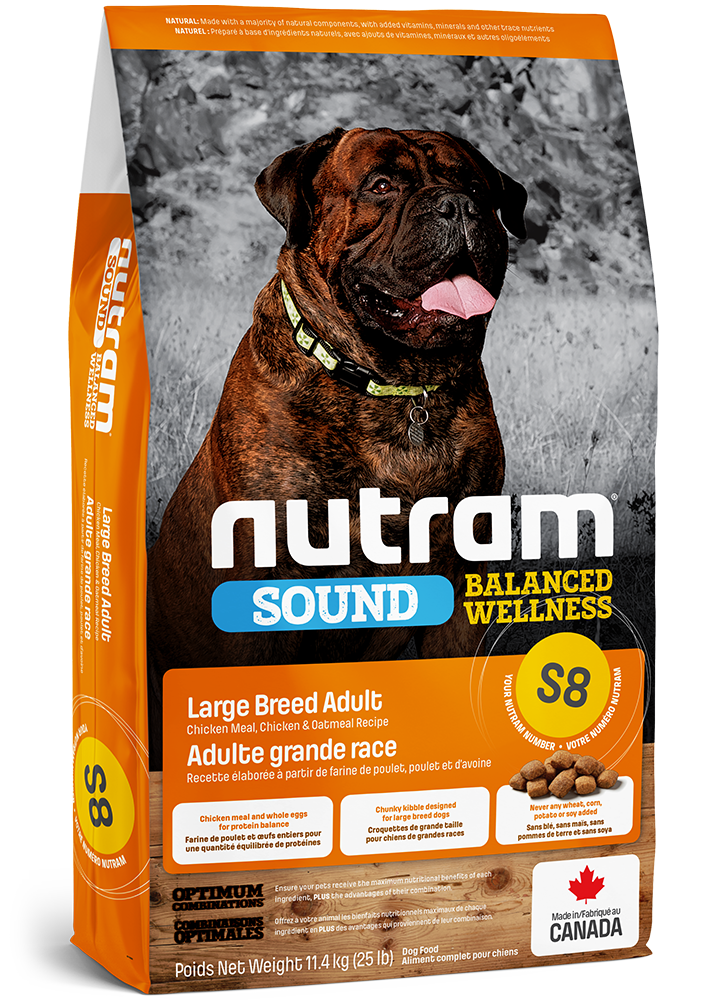 Dog food for clearance large breed dogs