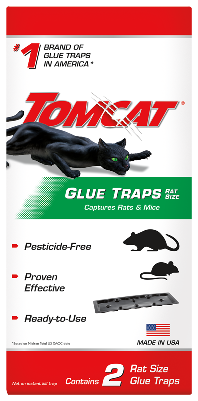 TOMCAT Super Hold Glue Traps Rat Size Mouse Traps in the Animal & Rodent  Control department at