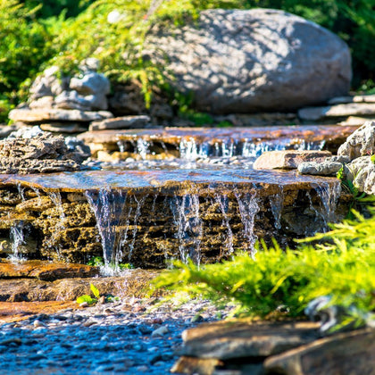 Pond