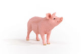 Adult Pig Kids Toy