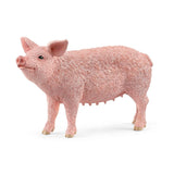 Adult Pig Kids Toy