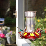Window Hummingbird Feeder