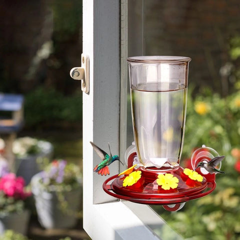 Window Hummingbird Feeder