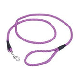 Rope Dog Leash 6'