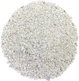 Oyster Shell