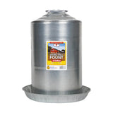 Double Wall Poultry Fountain