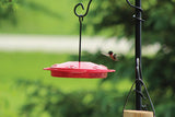 Hummingbird Tray Feeder