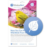 Window Alert Bird Anti-Collision Decals