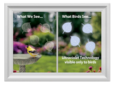 Window Alert Bird Anti-Collision Decals