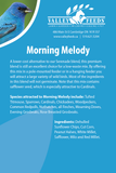 Morning Melody Bird Seed Mix
