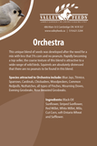 Orchestra Bird Seed Mix
