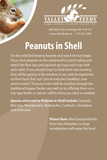 Peanuts in the Shell