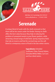 Serenade Bird Seed Mix