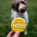 Fetch Tennis Ball Dog Cookie