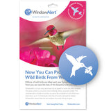 Window Alert Bird Anti-Collision Decals