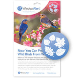 Window Alert Bird Anti-Collision Decals