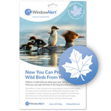 Window Alert Bird Anti-Collision Decals