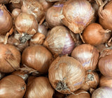 Onion Sets for Planting