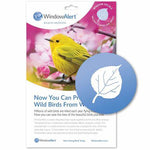 Window Alert  Bird Anti-Collision Decals