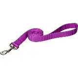 Nylon Dog Leash 3/4 X 6