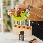 Pro-Mix Roots - * Liquid * Root Stimulator with Fungicide 60g