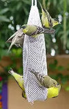 Sock Finch Feeder