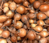 Onion Sets for Planting