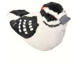 Plush Bird with Real Bird Calls