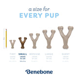 Benebone Bacon Wishbone